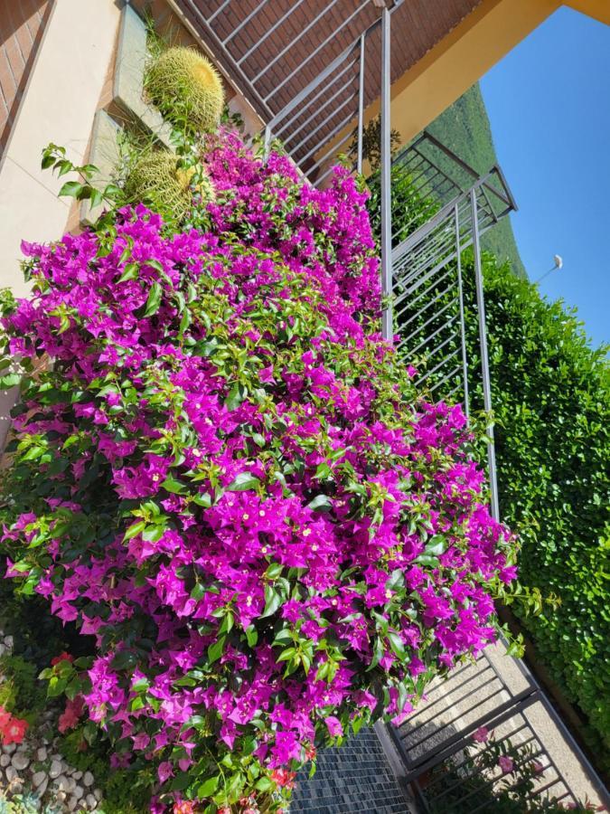 B&B Rossella Montoro Inferiore ภายนอก รูปภาพ